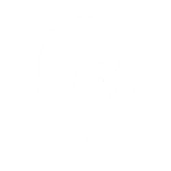 DexScreener